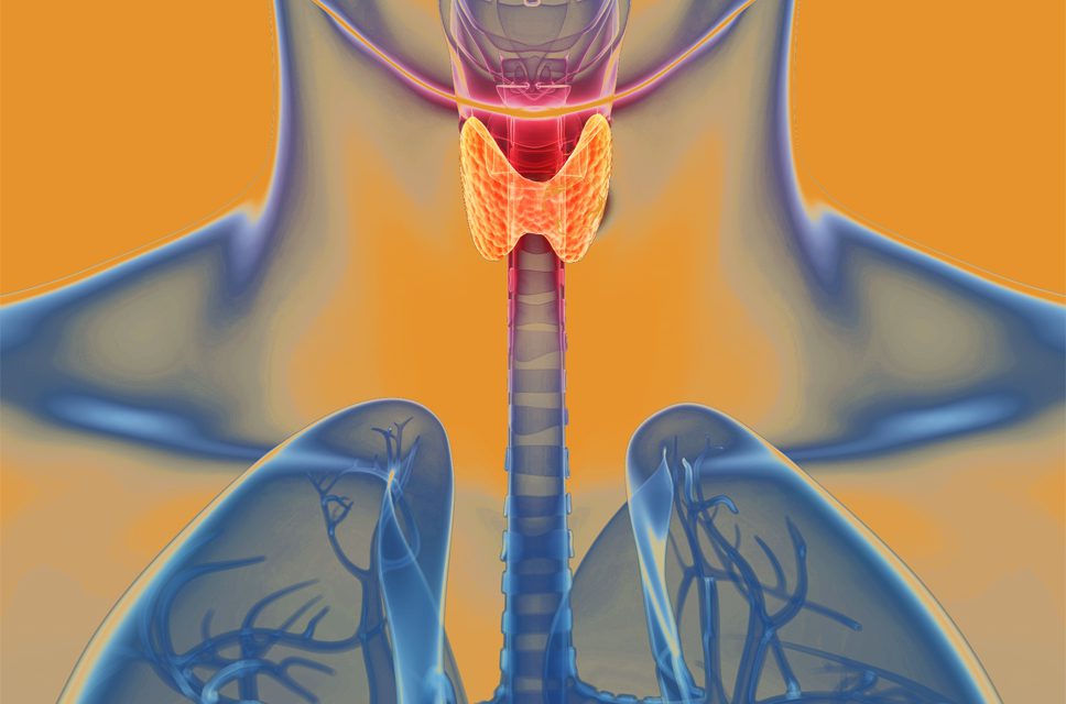 The Thyroid and Hormones Connection