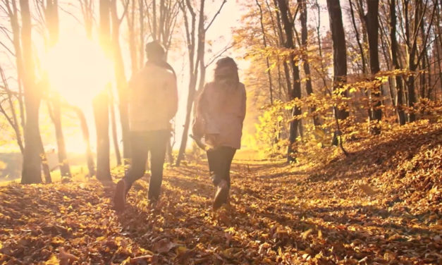 Cooler Weather is Coming! Are You Getting Enough Vitamin D?…And the Right Kind?
